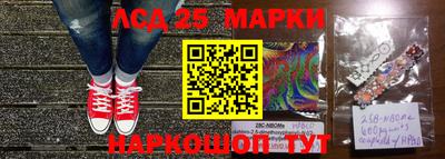 Альфа ПВП Новодвинск