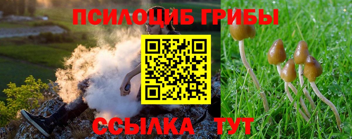 Галлюциногенные грибы Magic Shrooms Печора